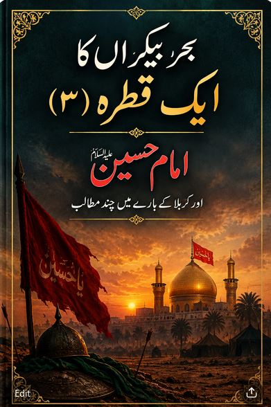 بحر بیکراں کا ایک قطرہ (3)